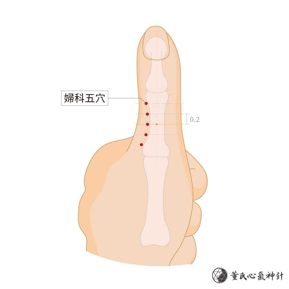 婦科五穴-左手