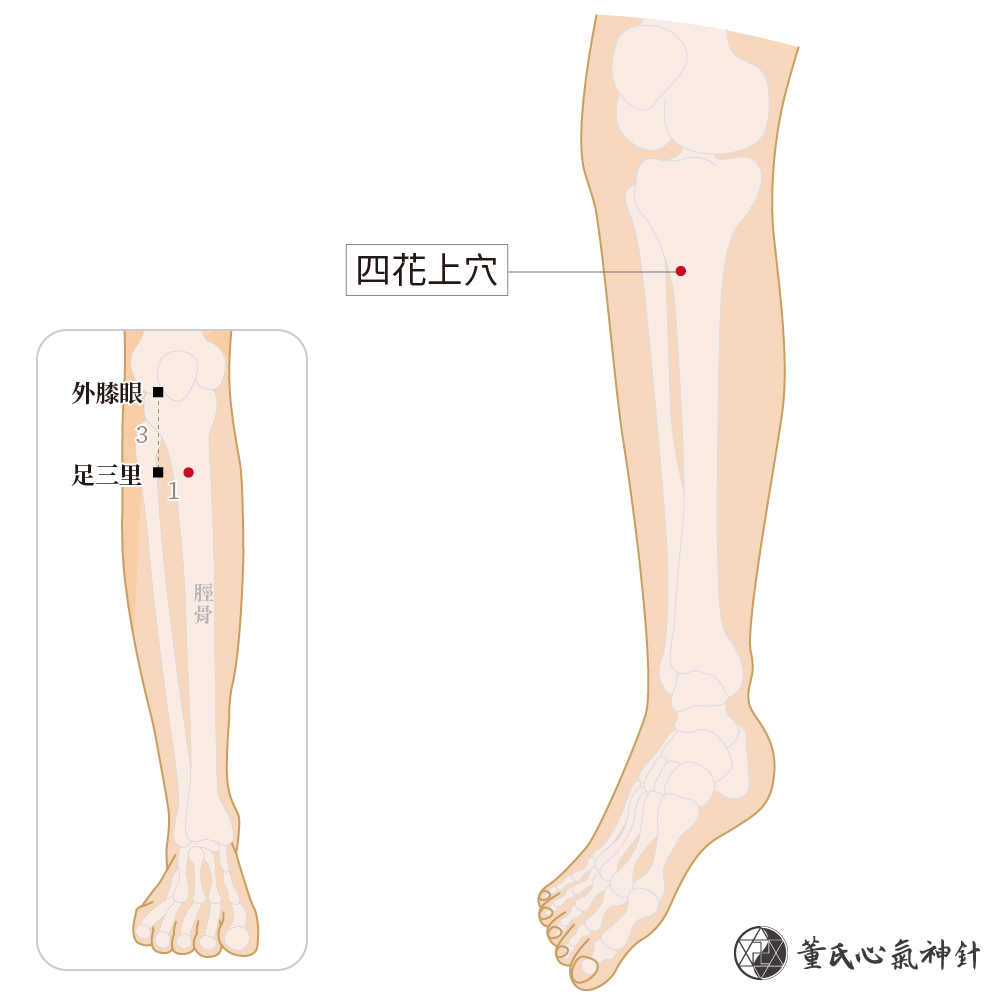 四花上穴