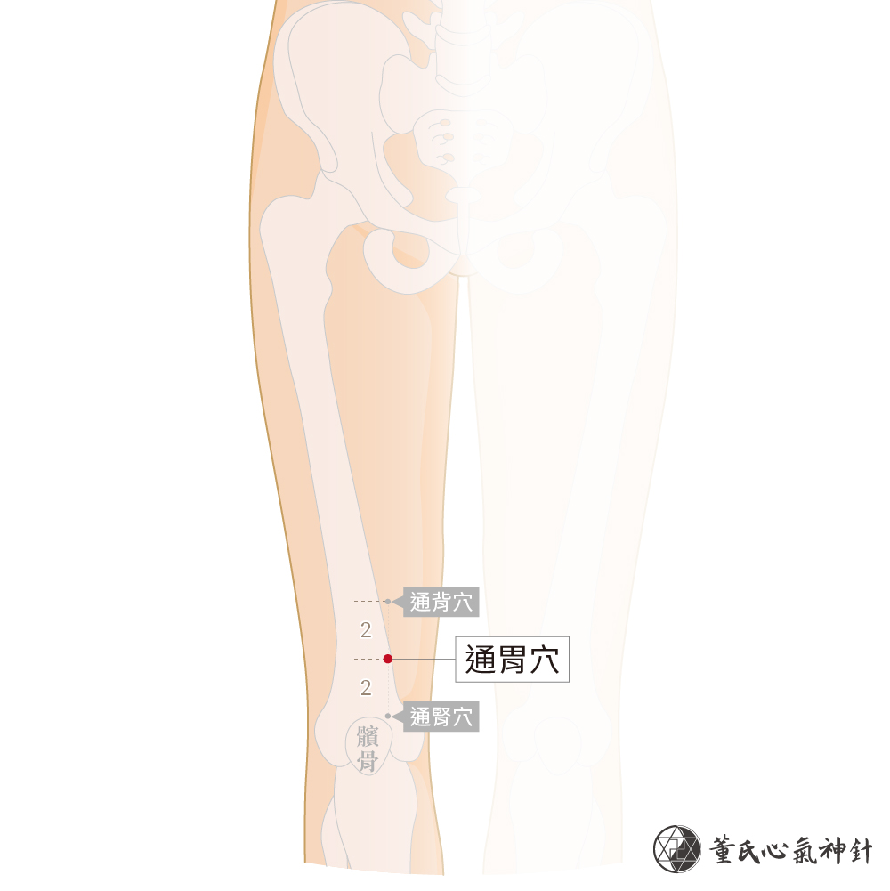 通胃穴