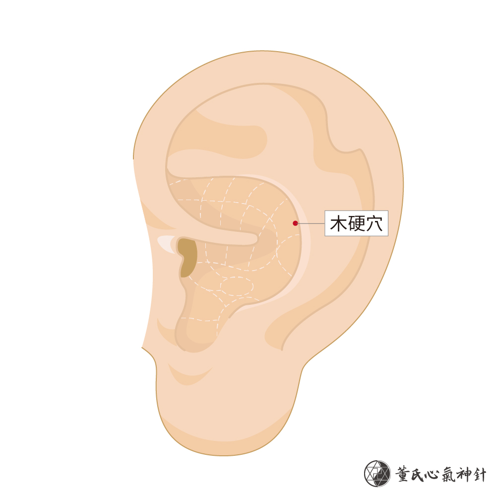 木硬穴